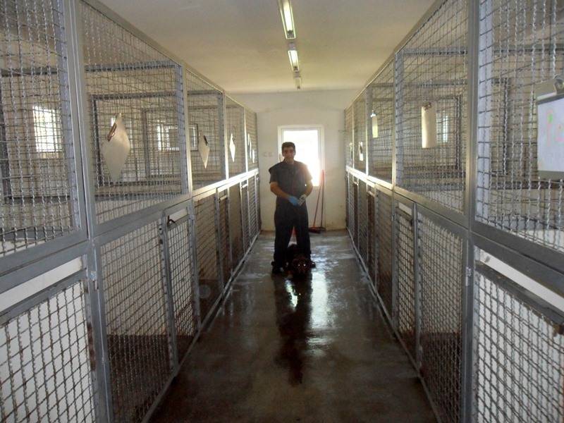 Centar za sterilizaciju sa prihvatilištem Rakovica