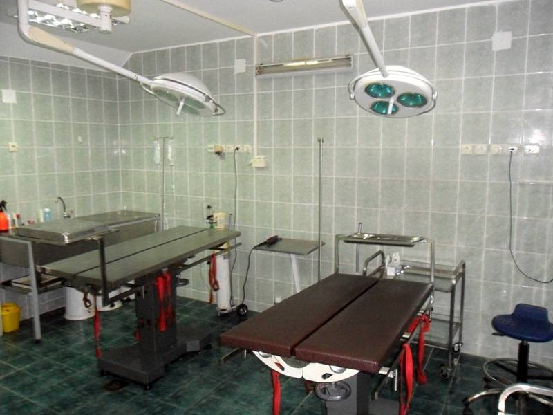 Centar za sterilizaciju sa prihvatilištem Rakovica