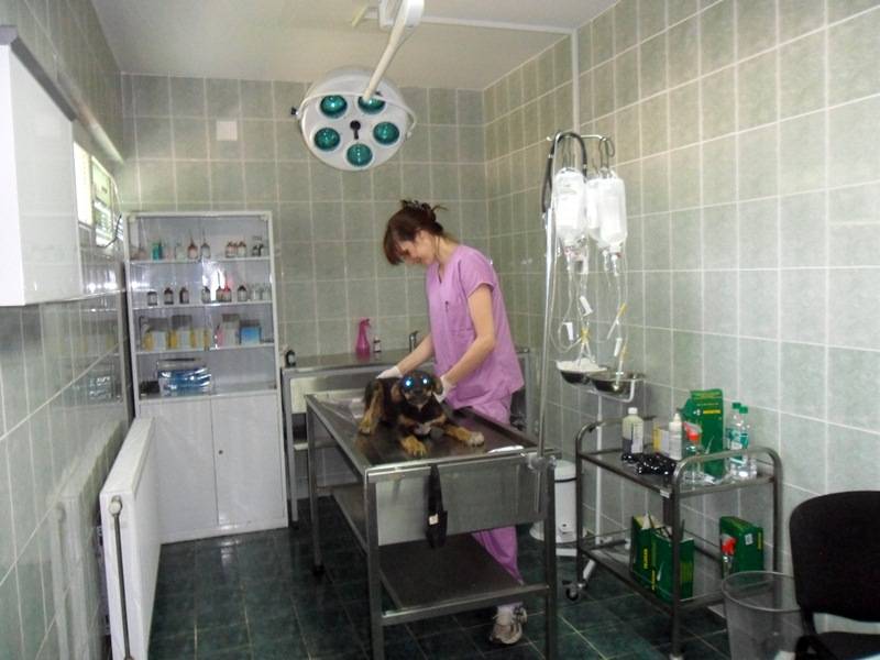 Centar za sterilizaciju sa prihvatilištem Rakovica