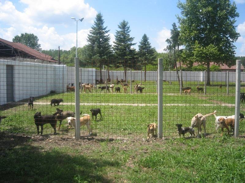 Prihvatilište Kovilovo (Vojna Bašta)