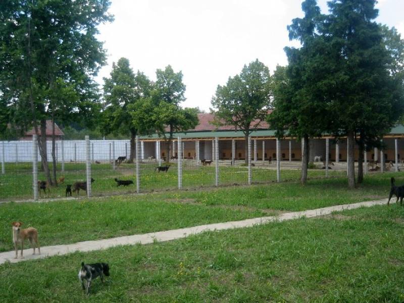 Prihvatilište Kovilovo (Vojna Bašta)
