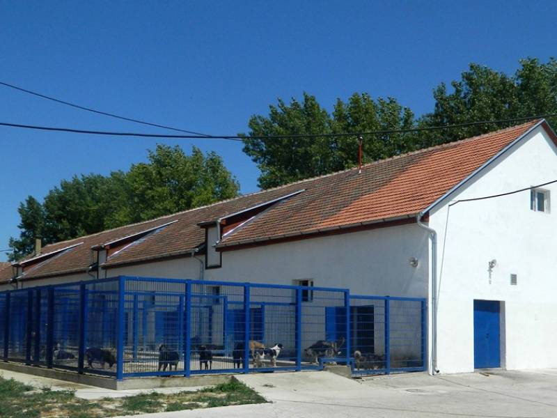Prihvatilište Zemun