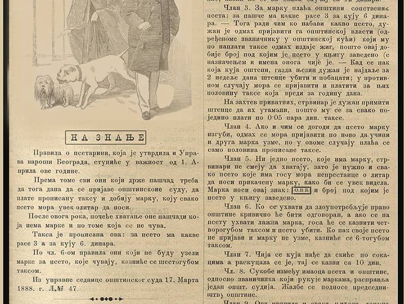 JKP „Veterina Beograd“ 