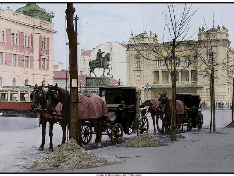 JKP „Veterina Beograd“ 